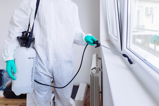 Pest Control Services - Know Questions to Ask